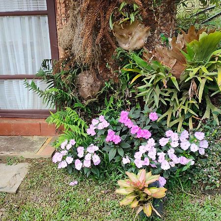 Sitio Mae Terra Otel Afonso  Dış mekan fotoğraf