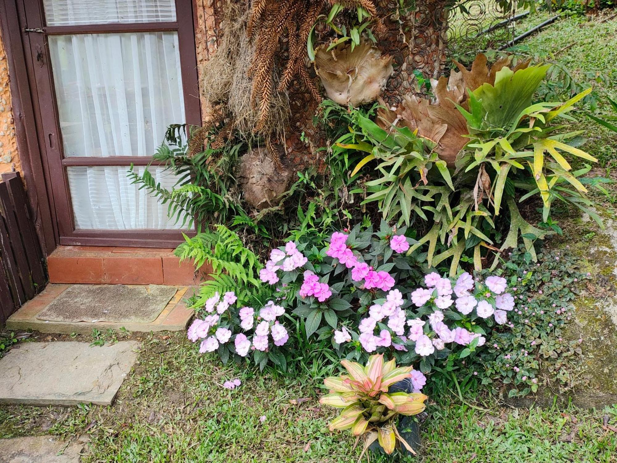 Sitio Mae Terra Otel Afonso  Dış mekan fotoğraf